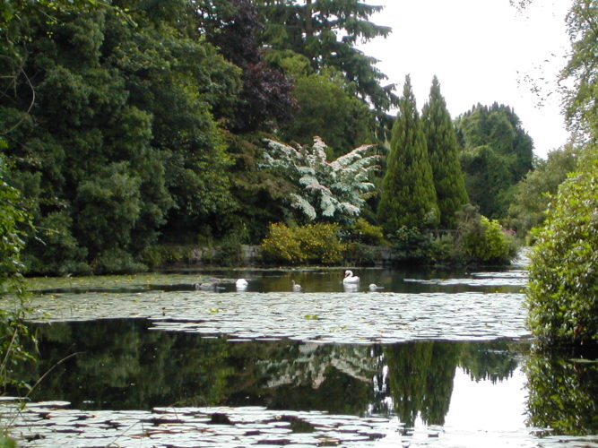 Altamont Gardens | Garden of Ireland