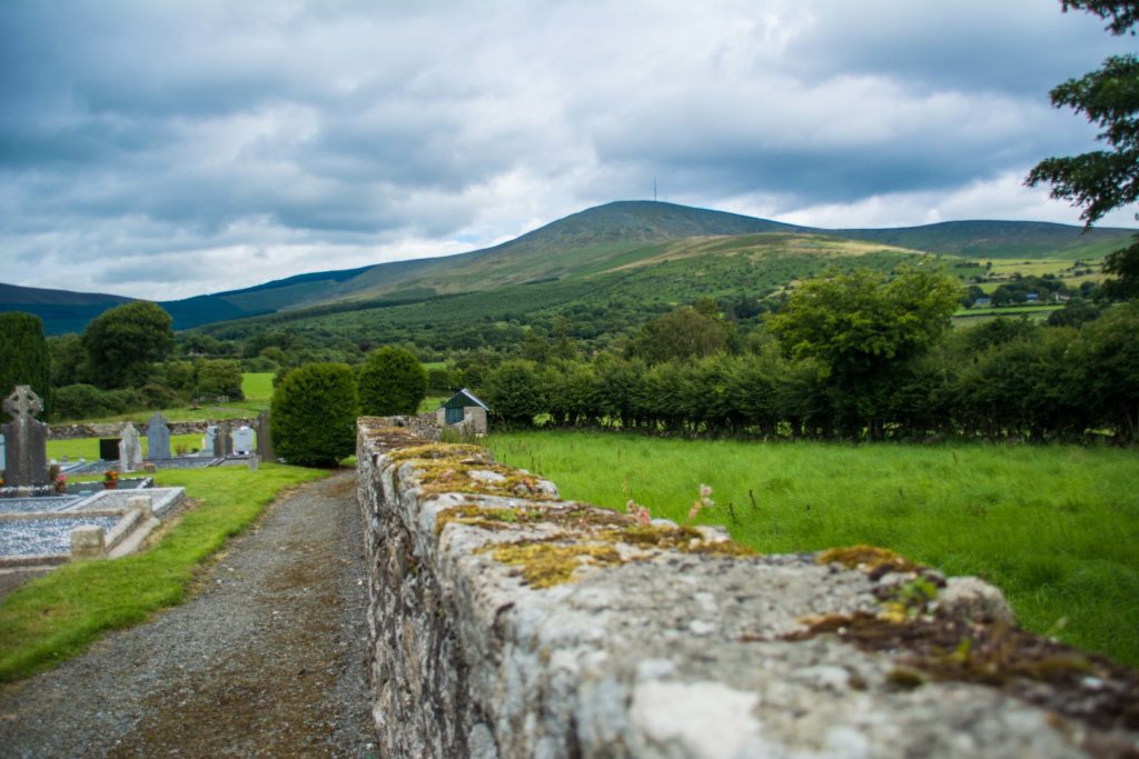 Mix history and heritage, flora and fauna in this fascinating walk through the rural countryside of the Rathanna area.