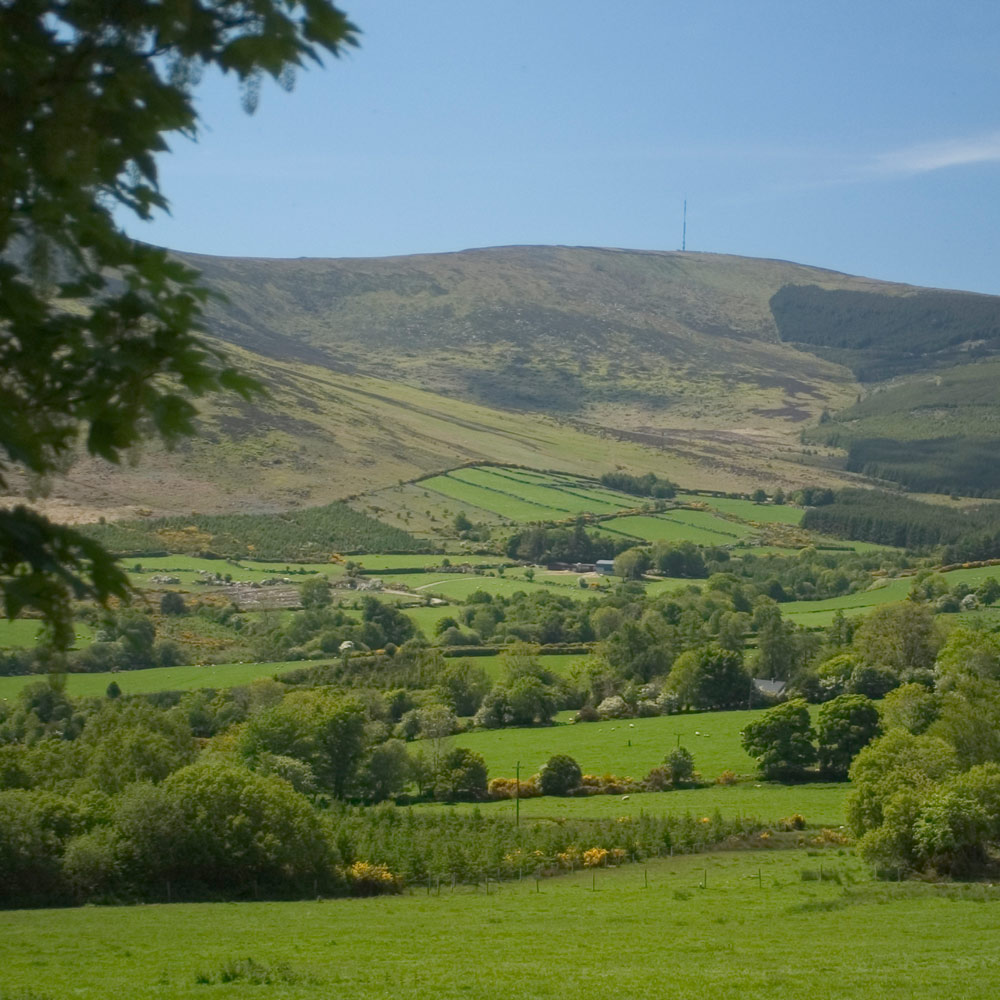 Starting from the Nine Stones you ascend Mount Leinster in a southerly direction. From the TV mast you proceed onto Knockroe before descending into Scullogue Gap. From there the walk again ascends onto the Blackstairs Mountains with stunning views over Carlow and Wexford.
