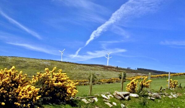 walking-festival-windmills-at-Kilbrannish-Forest-North