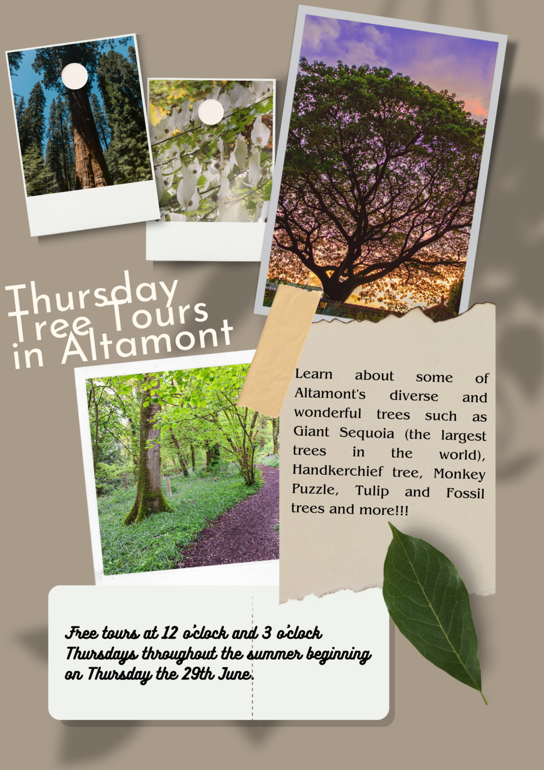 Summer Tree Tours at Altamont Gardens Carlow Tourism