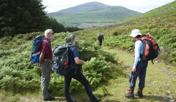 Turning off Shannon's Lane with a view of Blackstairs Mountain in the background, Blackstairs Mountains, Carlow Walking Festival Preview 2007 (Photo by Eoin Clarke)