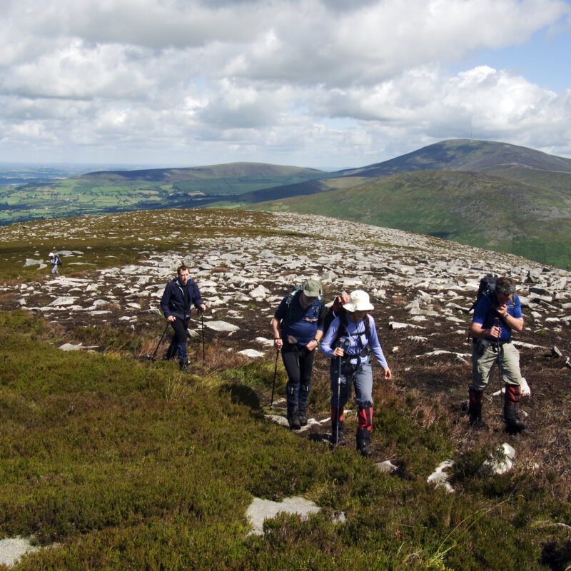 Mount Leinster and Blackrock Mountain