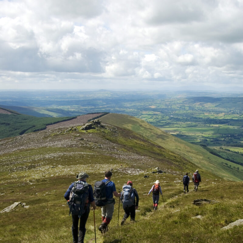 B Walk - Walk 14 – Ballycrystal to Scullogue Gap - Blackstairs Ridge Walk