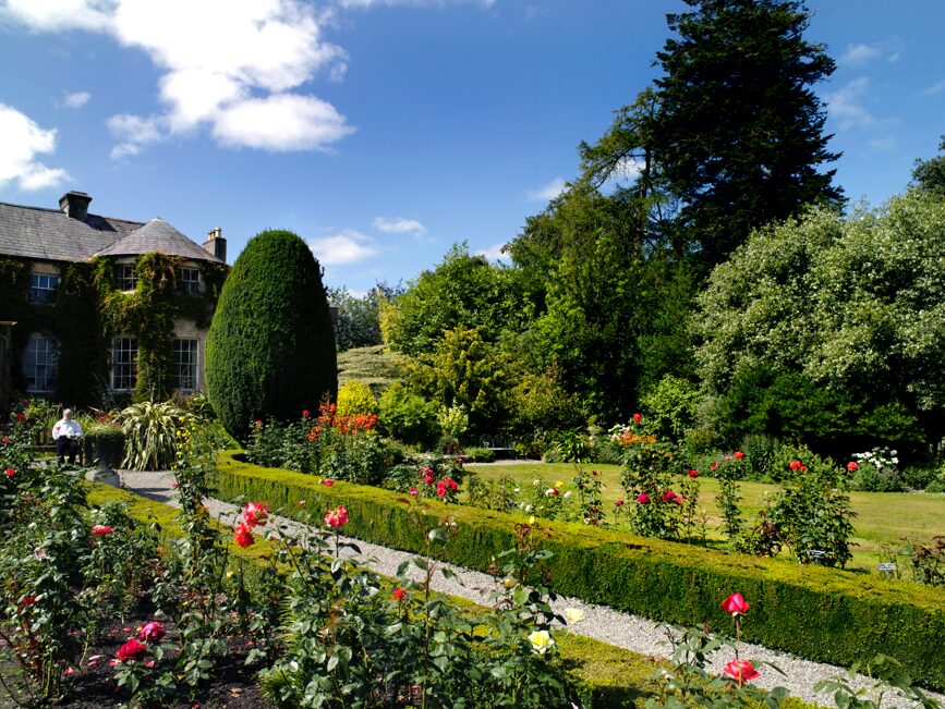 There could hardly be a better location in County Carlow to practise the principles of mindfulness and to begin to understand about its helpful benefits to our daily lives. Altamont Gardens, often referred to as one of Ireland’s top three gardens, is a superb setting to re-connect with nature and experience the restorative power of its trees and well-maintained landscapes.