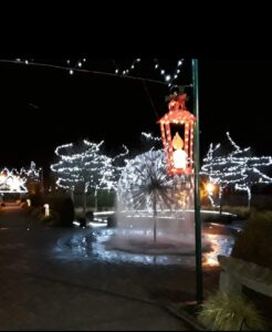 Light at Delta Sensory Gardens