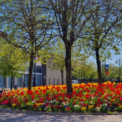 Entente Florale Entente Florale