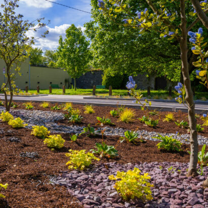 Rainwater Gardens - Entente Florale Rainwater Gardens - Entente Florale