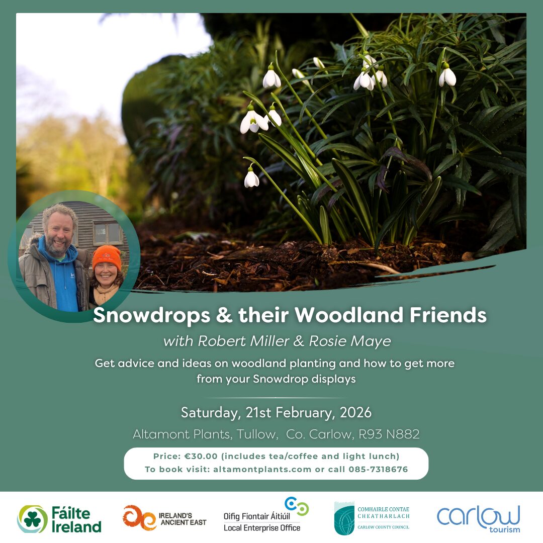 Snowdrops & their Woodland Friends