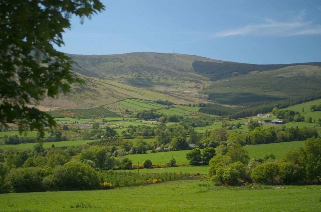Join us for a rewarding mountain adventure in the heart of the Blackstairs Mountains, starting and finishing at Ballycrystal. This 12km circular walk takes participants through some of the most scenic and historic landscapes in the region, with stunning views throughout the day.