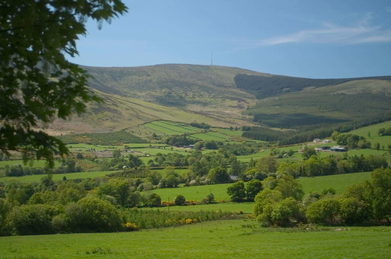 A Walk - Ballycrystal