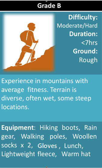 Graphic-B-Walk