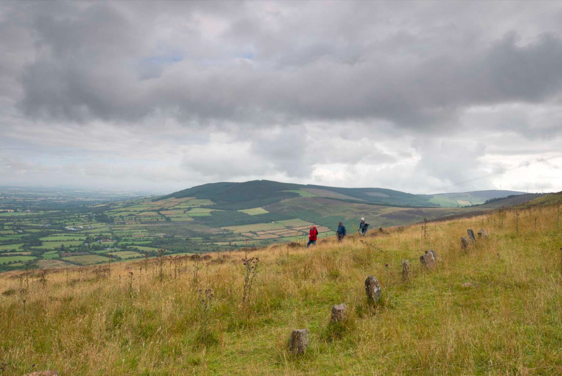 B Walk - Deerpark to Nine Stones